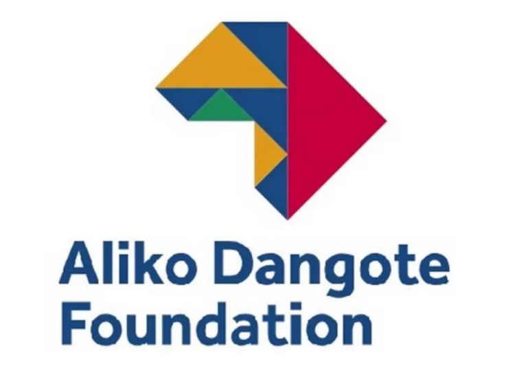 dangote foundation