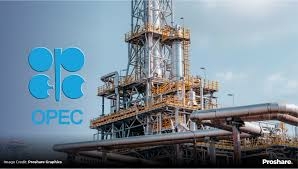 OPEC To Highlight Africa Oil Producers Significance At 2026 AEW