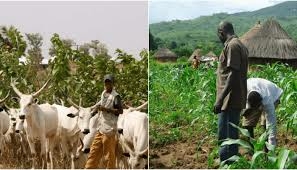 Farmer-Herder Crisis Caused By Poorly Implemented Planning Systems — FG 1 images 2026 05 05T193344.020