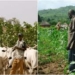 Farmer-Herder Crisis Caused By Poorly Implemented Planning Systems — FG 5 Farmer-Herder Crisis Caused By Poorly Implemented Planning Systems — FG