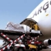 Diaspora Trade, E-Commerce Boost Africa’s Air Cargo Growth