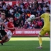 Anderson Equaliser Boost Forest Survival Hopes 5 Anderson Equaliser Boost Forest Survival Hopes