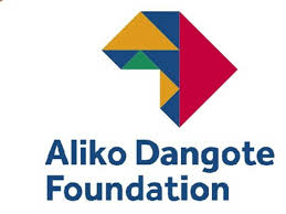 Dangote Foundation, WEF Unveil 2026 Young Global Leaders Fellows