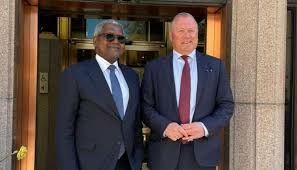 Norwegian Sovereign Wealth Fund Eyes Partnership With Dangote Group On Africa Investments