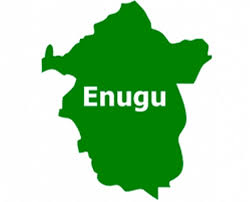 Enugu 2027: Civil Society Group kicks Against Nnaji Clearance