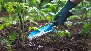 Federal Govt Targets Improved Crop Yields With Harmonised Fertiliser Manual