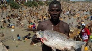 Firm Set To Acquire Nigeria’s Largest Indigenous Fisheries Group
