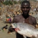 Firm Set To Acquire Nigeria’s Largest Indigenous Fisheries Group 5 Firm Set To Acquire Nigeria’s Largest Indigenous Fisheries Group