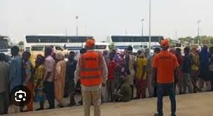 NEMA Receives Another Batch Of 329 Stranded Nigerians From Niger Republic