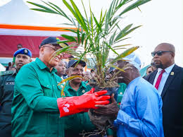 Akwa Ibom Launches Oil Palm Revolution, Distributes 620,000 Seedlings To Farmers