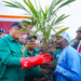 Akwa Ibom Launches Oil Palm Revolution, Distributes 620,000 Seedlings To Farmers