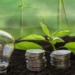Investors Back Climate Solutions with $560,000 for Nigerian Innovators