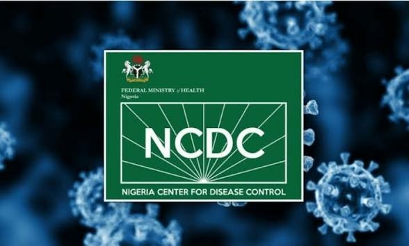 No Hantavirus Case In Nigeria, Says NCDC 1 images 55