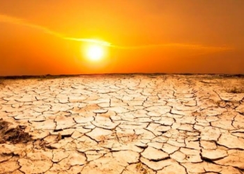 FG Sets Up Technical Committee To Improve Nigeria’s Desertification Data