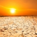 FG Sets Up Technical Committee To Improve Nigeria’s Desertification Data 5 FG Sets Up Technical Committee To Improve Nigeria’s Desertification Data