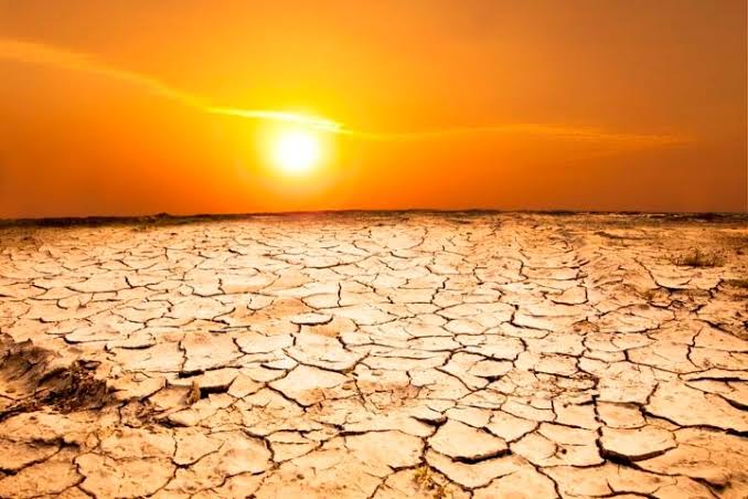 FG Sets Up Technical Committee To Improve Nigeria’s Desertification Data