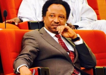 Shehu Sani Wins APC Kaduna Central Senatorial Ticket
