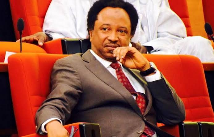 Shehu Sani Wins APC Kaduna Central Senatorial Ticket