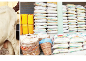 Kano Govt Donates Cows, Rice To Inmates For Eid-el-Kabir