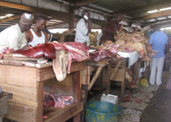 Weak Veterinary Services, Rising Costs Drive 20% Beef Price Surge