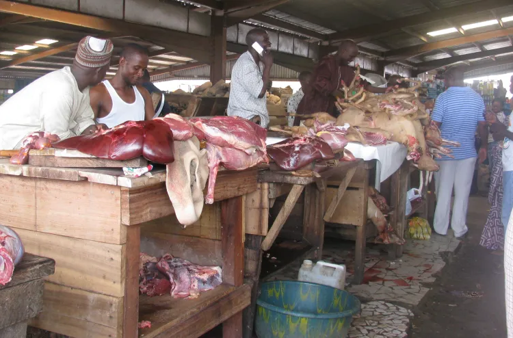 Weak Veterinary Services, Rising Costs Drive 20% Beef Price Surge 1 meat market