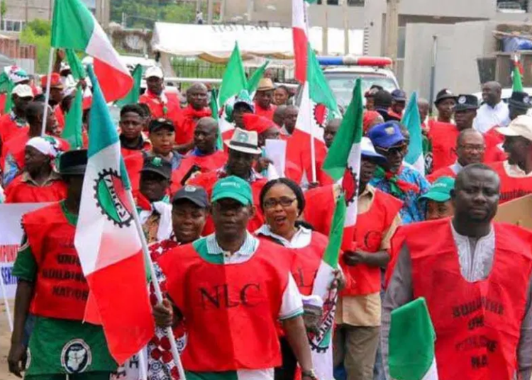 nlc tuc