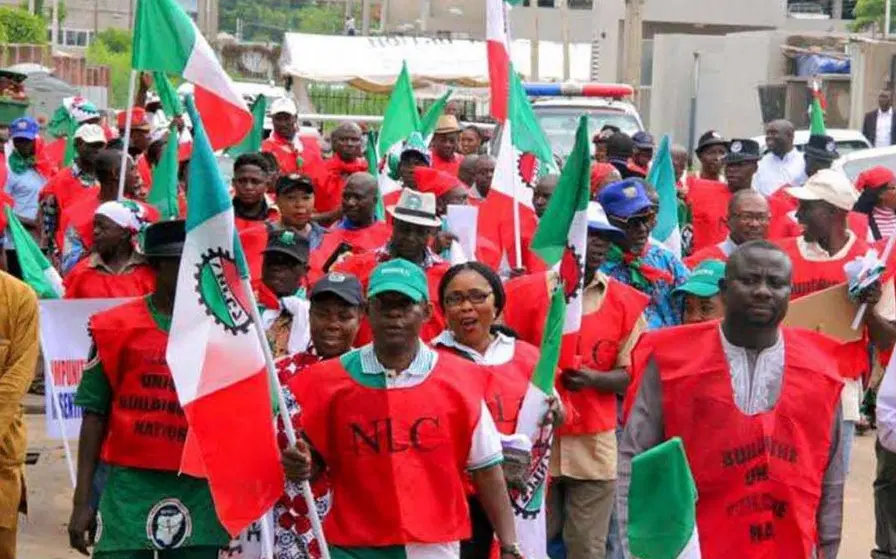 NECA Reacts To ICJ Ruling On Right To Strike