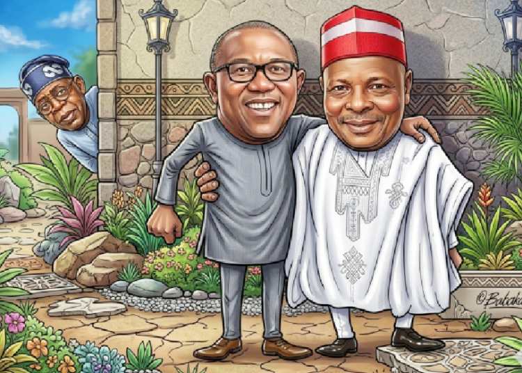 obi and kwankwaso 1