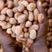 Nigeria Insists On Shea Export Ban To Drive Local Processing 5 Nigeria Insists On Shea Export Ban To Drive Local Processing