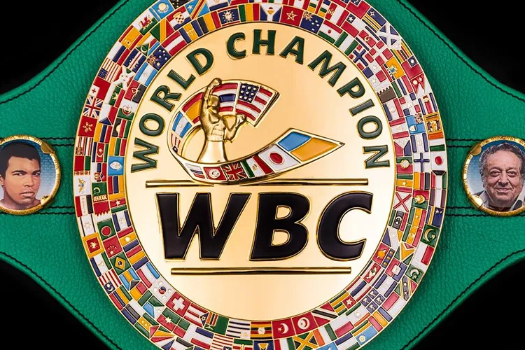 Four Nigerian Female Boxers Named In WBC Top 10 Rankings 1 wbc title close up 1