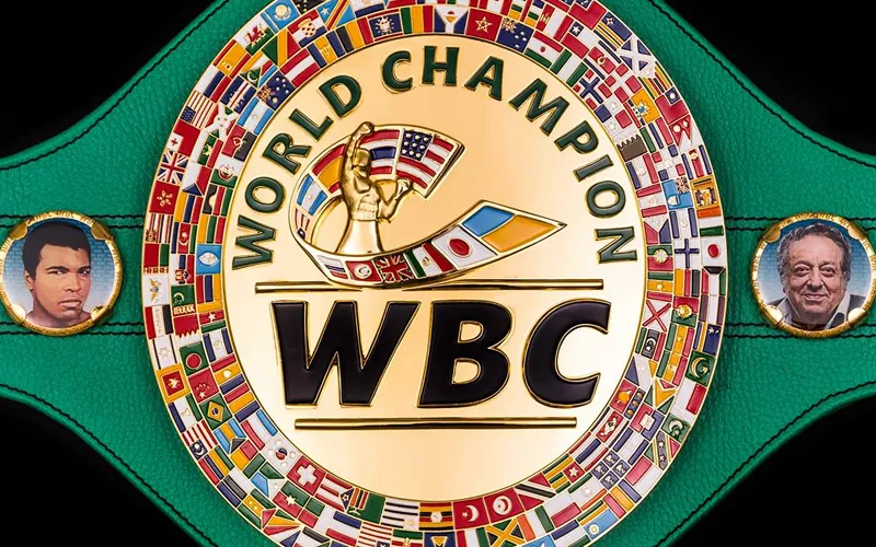 Four Nigerian Female Boxers Named In WBC Top 10 Rankings