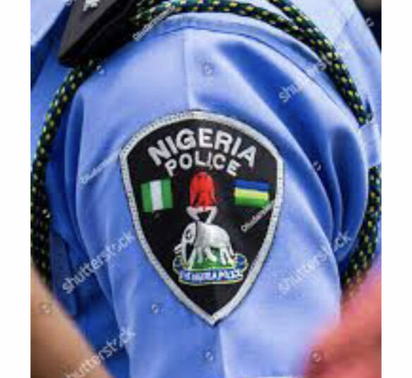 Insecurity: No Amount Of Money Spent In Establishing State Police Will Be Waste -Ex-Rep 1 06B59D1A 1CD2 445B 8C5F 6749CB0E3921