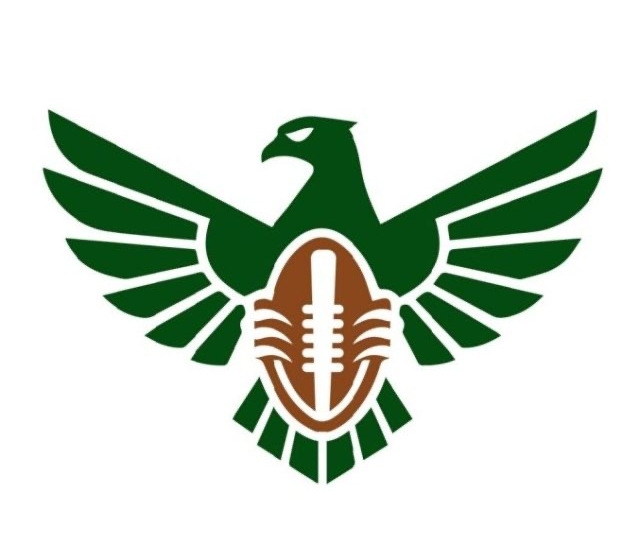 IFAF Confirms NFAF As Nigeria’s Official Governing Body, Ends Membership Uncertainty 1 465b9224 6fe8 4f49 8e8c f458964573df