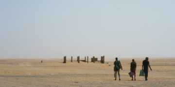 50 Travelers Die Of Thirst In Sahara Desert