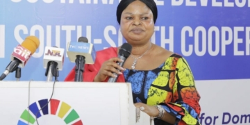States Can’t Deliver SDGs Without Fiscal Muscle — Presidency