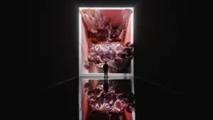 Google, Refik Anadol Launch World's First AI Art Museum In Los Angeles 3 AI Art2