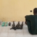 DSS Nabs Transporter With Arms In Kano