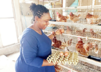 HOW I OVERCAME: Achamajah: I Turned My Disabilities To Owning A Poultry Farm
