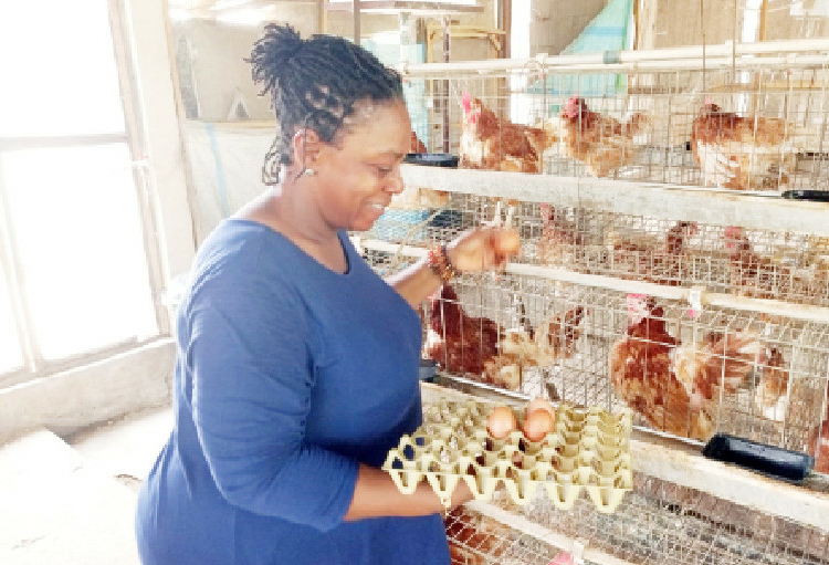 HOW I OVERCAME: Achamajah: I Turned My Disabilities To Owning A Poultry Farm 1 Achamajah