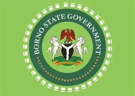 Borno Govt Denies Paying Ransom To Free 360 Victim