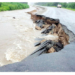 Erosion Cuts off Oji–Awgu Federal Highway 5 Erosion Cuts off Oji–Awgu Federal Highway