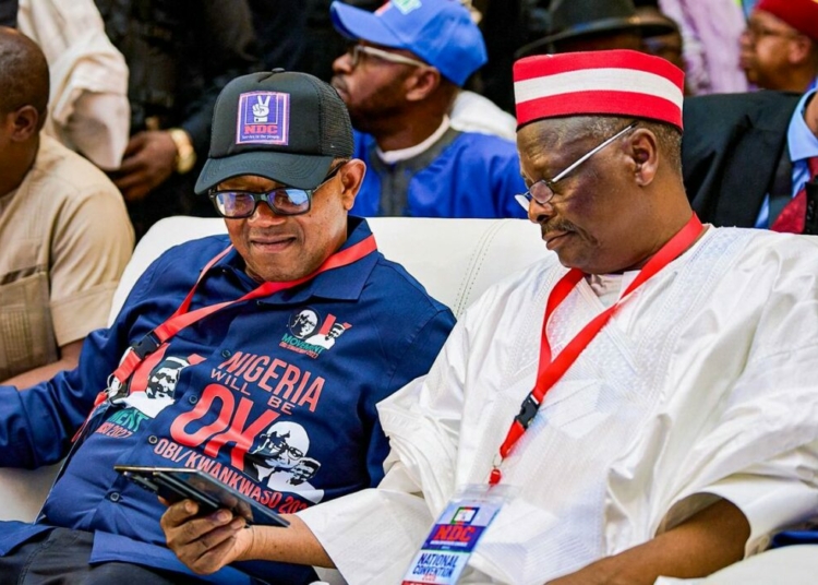 2027: Northern Youths Reject Kwankwaso-Obi Political Alignment 1 HJ0kpQCXoAEeR9F