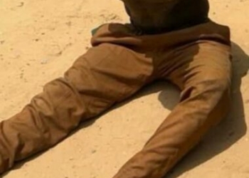 Troops Intercept Suspected Arms Dealer, Recovers 1,000 Rounds Of Ammunition, 53 Rustled Cattle