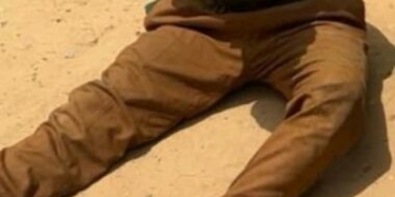 Troops Intercept Suspected Arms Dealer, Recovers 1,000 Rounds Of Ammunition, 53 Rustled Cattle