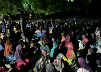 Ngoshe: Boko Haram Releases 416 Kidnapped Borno Women, Kids