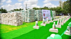Food Security: FG Distributes 11,720 Bags Of Fertiliser To FCT Farmers