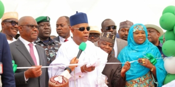 ‘You Have Not Disappointed Me,’ Tinubu Tells FCT Minister Wike