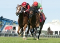 Multi-million Naira Prizes For Grabs As Renewed Hope Horse Race Tourney Begins In Kano