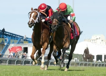 Multi-million Naira Prizes For Grabs As Renewed Hope Horse Race Tourney Begins In Kano