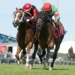 Multi-million Naira Prizes For Grabs As Renewed Hope Horse Race Tourney Begins In Kano